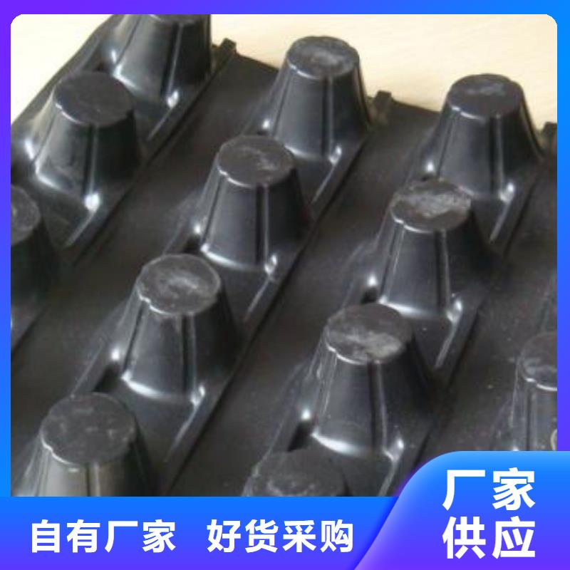蓄排水板钢塑土工格栅厂家自营