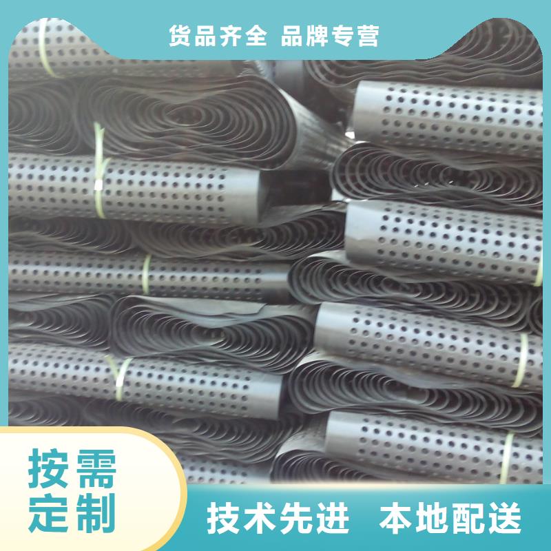 蓄排水板,三维复合排水网为品质而生产