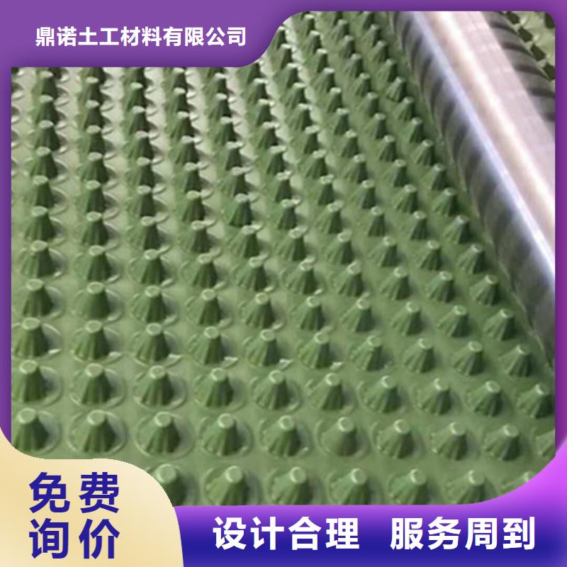 蓄排水板单向塑料土工格栅厂家供应