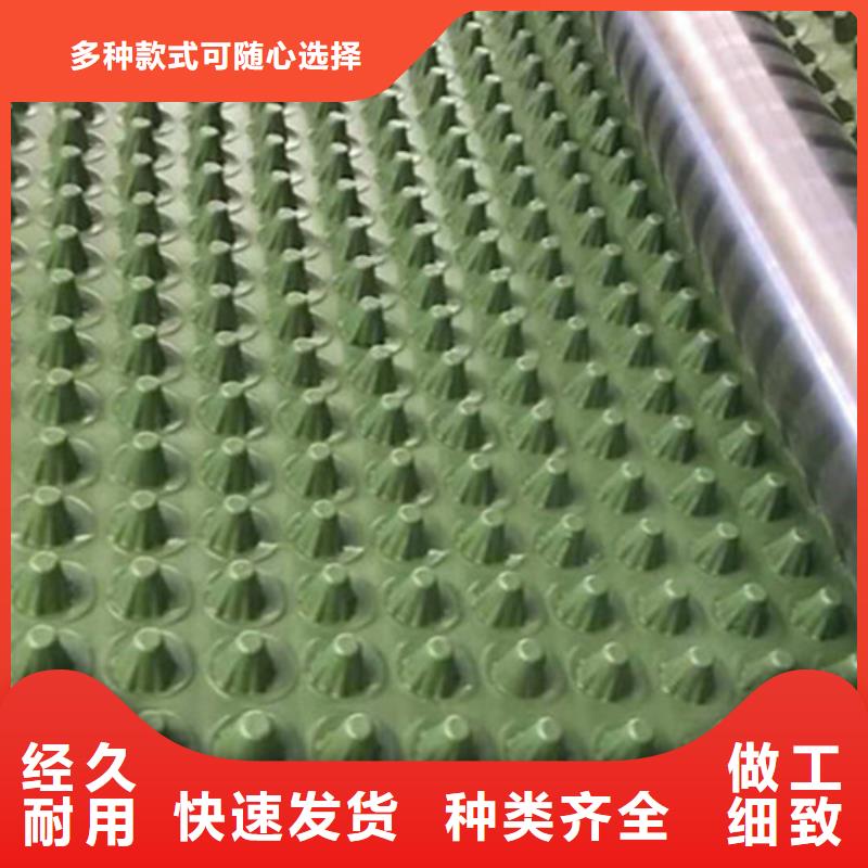 蓄排水板-双向塑料土工格栅买的是放心