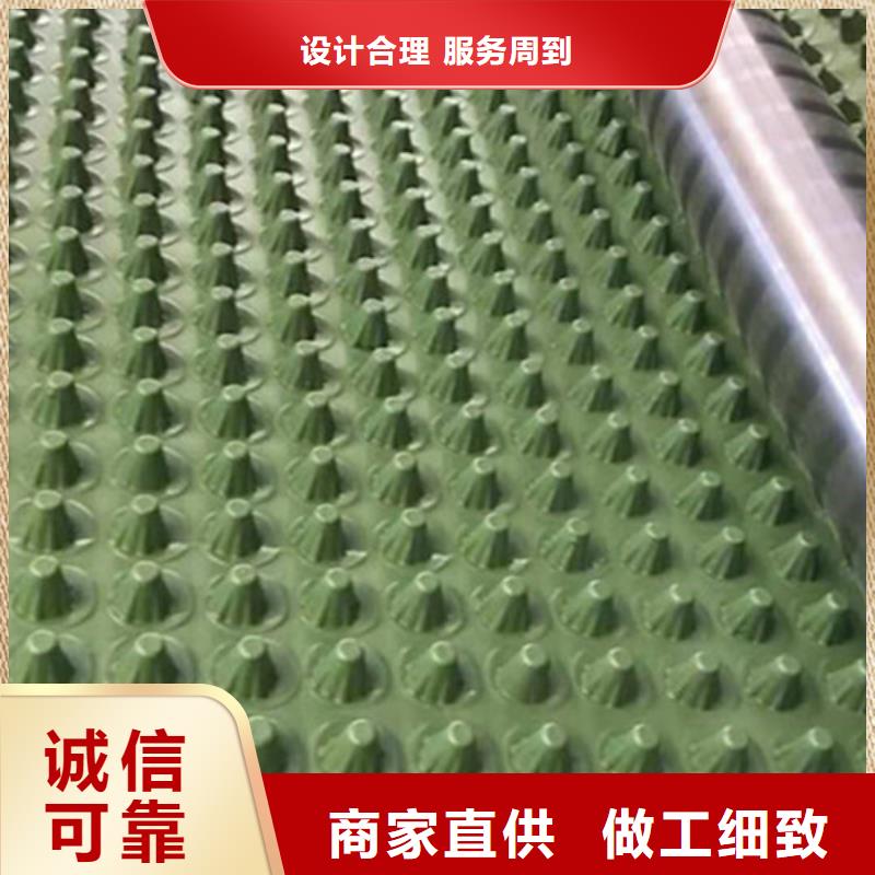 蓄排水板-单向塑料土工格栅精品选购
