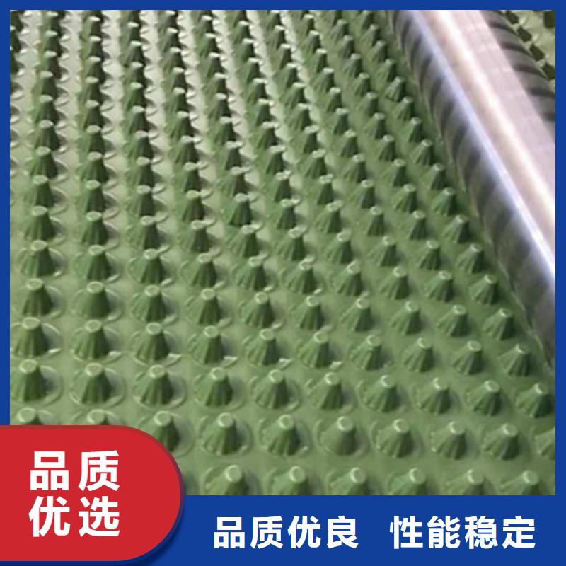 【蓄排水板】-涤纶土工格栅供应商