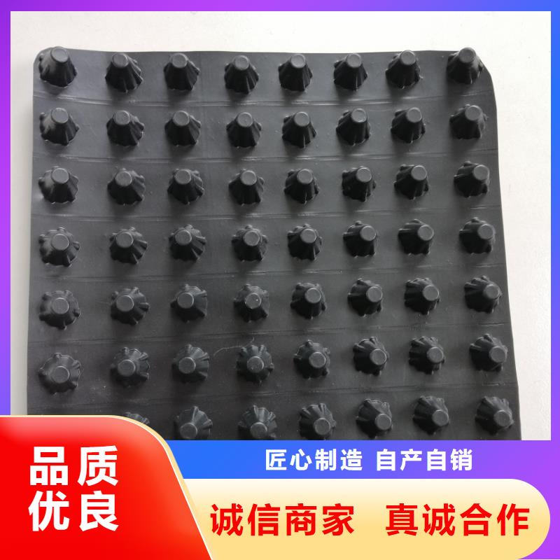 蓄排水板单向塑料土工格栅货源报价