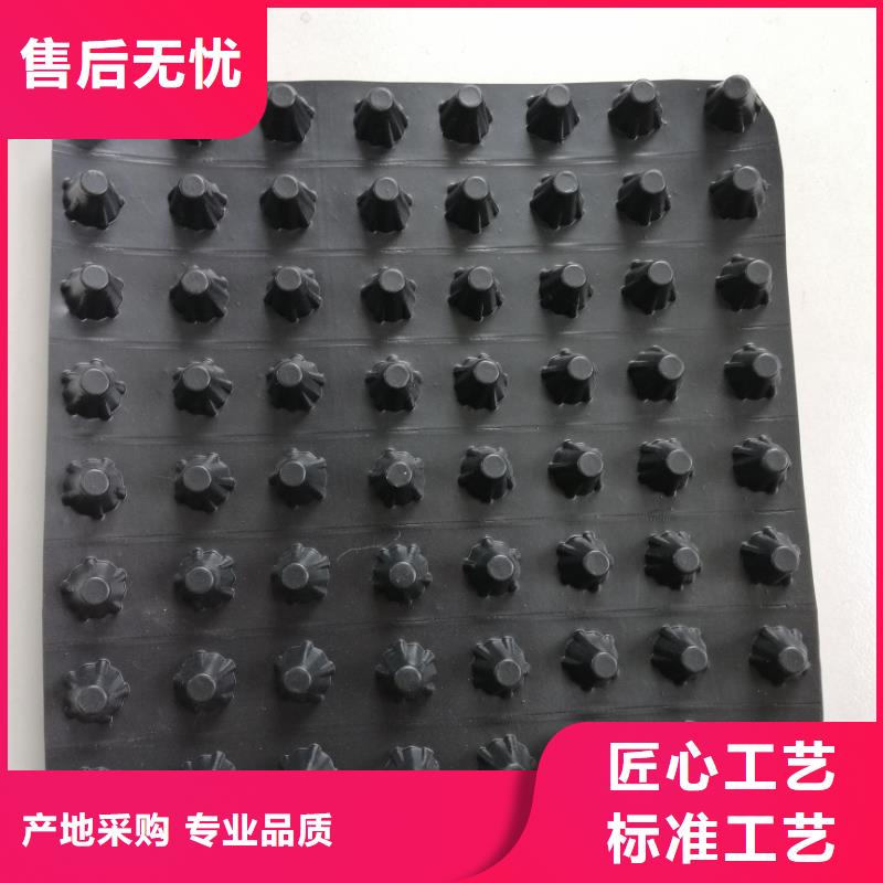 【蓄排水板-单向塑料土工格栅闪电发货】