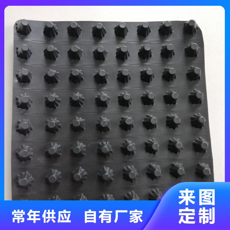 蓄排水板双向塑料土工格栅安心购