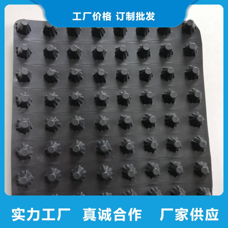 蓄排水板三维复合排水网您身边的厂家
