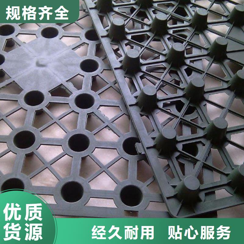 蓄排水板双向塑料土工格栅安心购