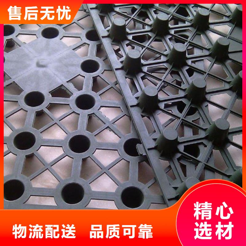 蓄排水板土工格栅货品齐全