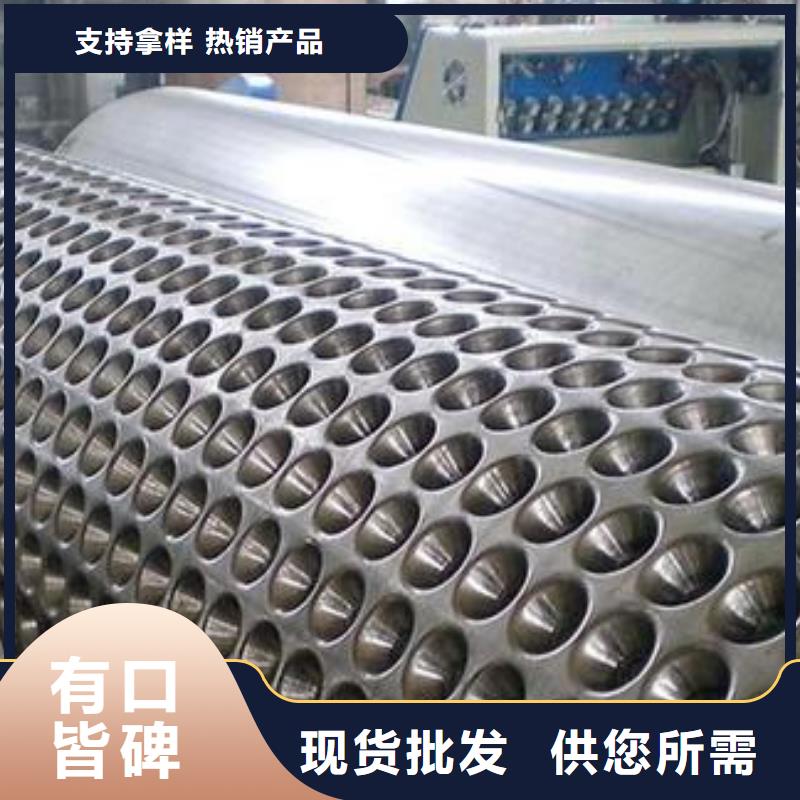【蓄排水板-单向塑料土工格栅闪电发货】