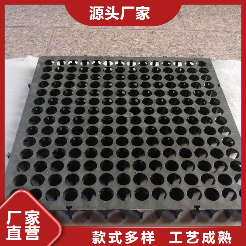 蓄排水板_涤纶土工格栅源头厂家来图定制