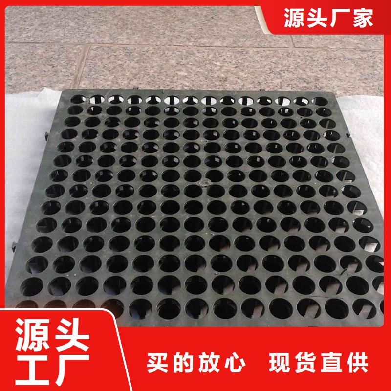 蓄排水板膨润土防水毯符合标准