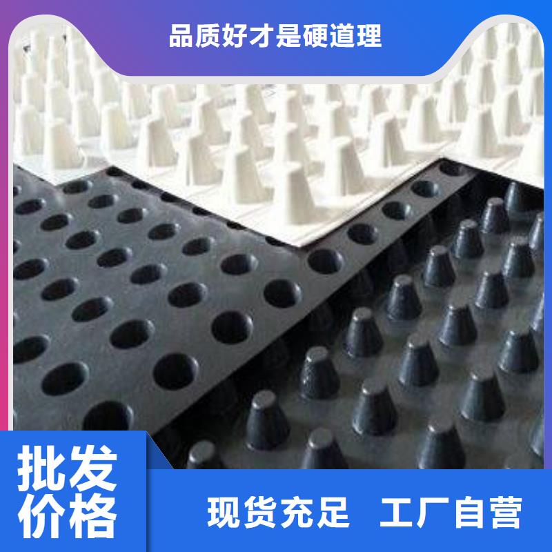【蓄排水板】土工席垫支持定制加工