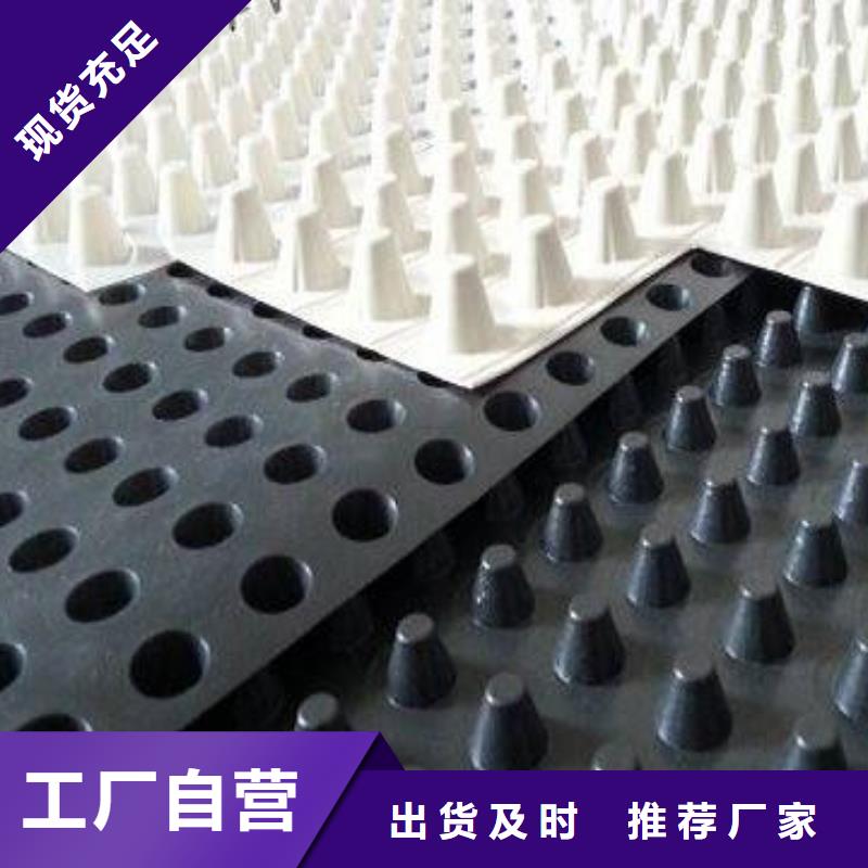 蓄排水板复合土工膜实力公司