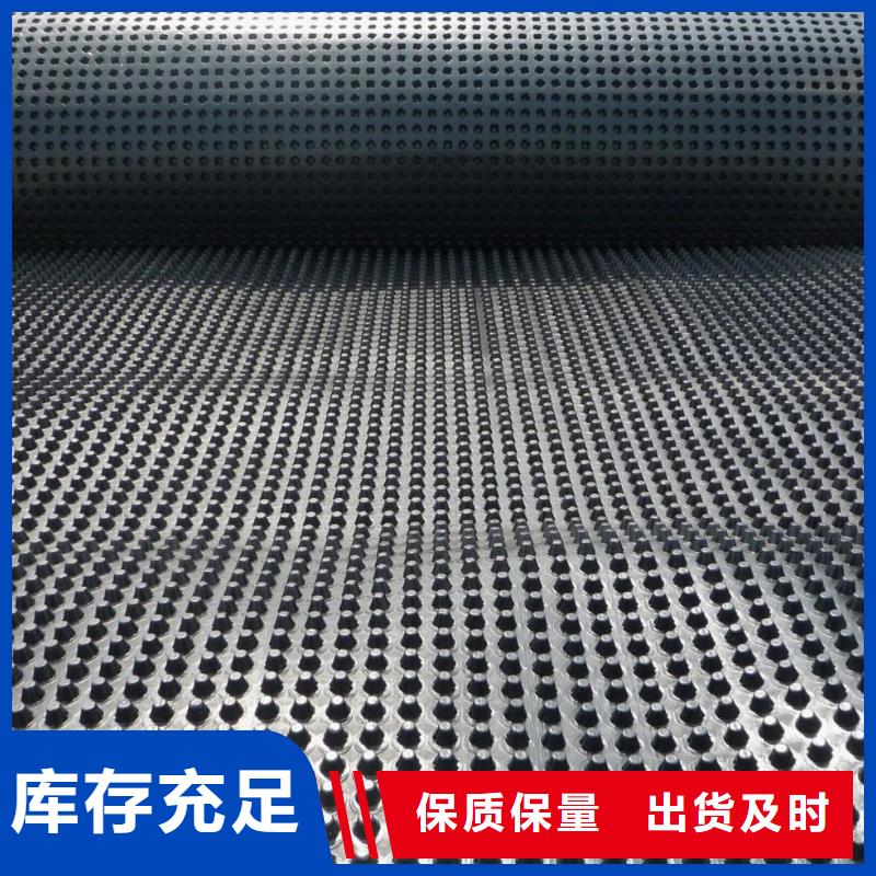 蓄排水板-【钢塑土工格栅】自有厂家