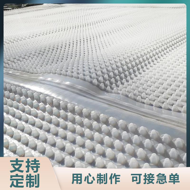 蓄排水板,膨润土防水垫好品质选我们