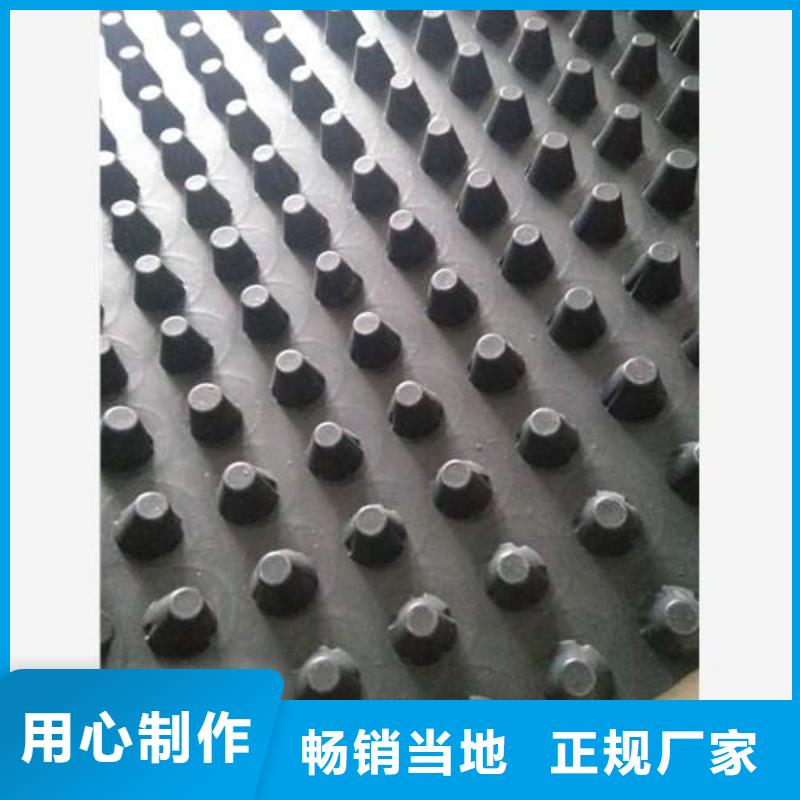 蓄排水板单向塑料土工格栅厂家供应