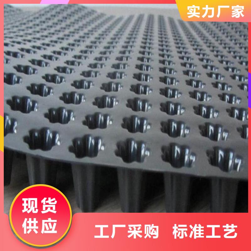 【蓄排水板】土工席垫支持定制加工