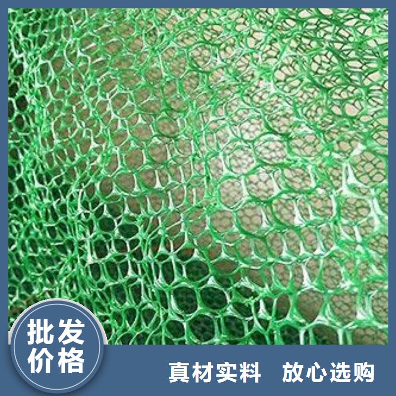 三维植被网三维土工网垫专业按需定制