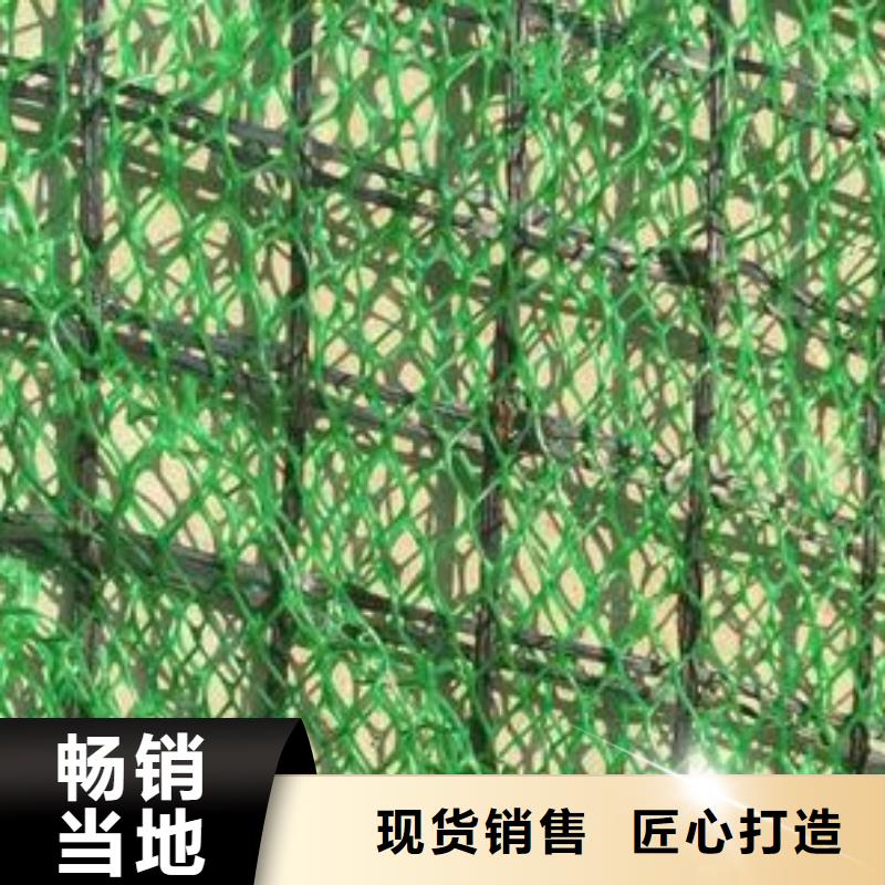 三维植被网-水土保护毯准时交付