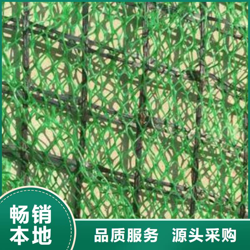三维植被网长丝土工布长期供应