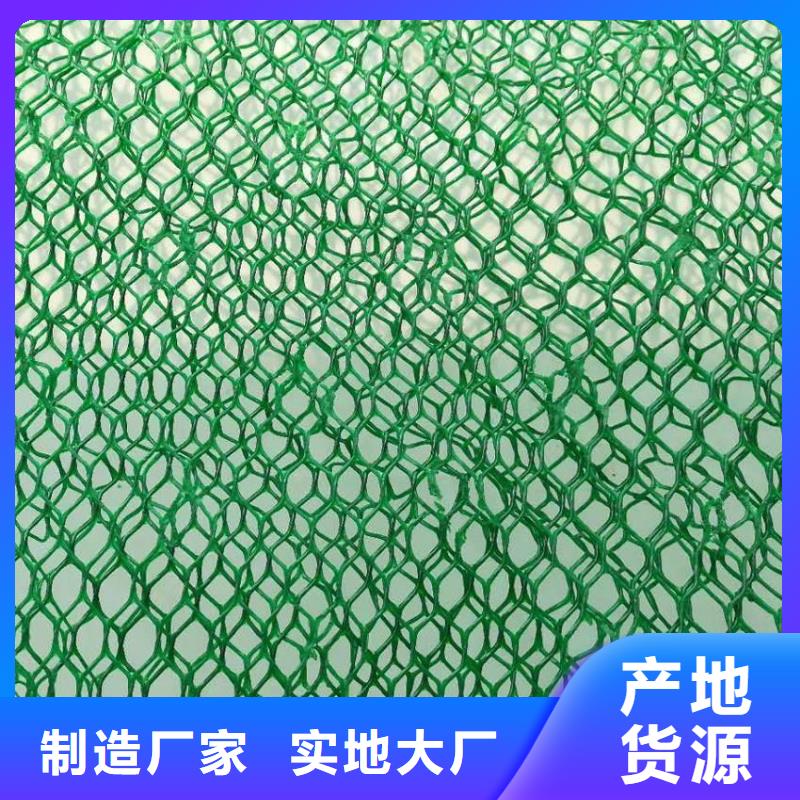 【三维植被网】钢塑土工格栅一站式服务