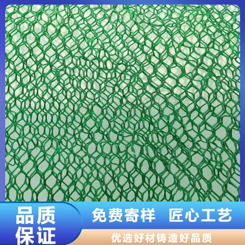 【三维植被网】三维复合排水网源头把关放心选购