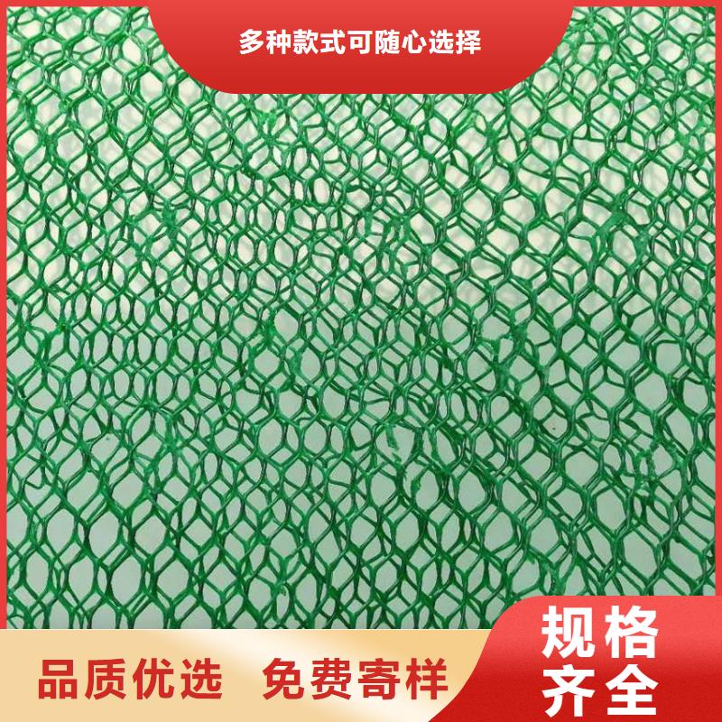 三维植被网-软式透水管售后服务完善
