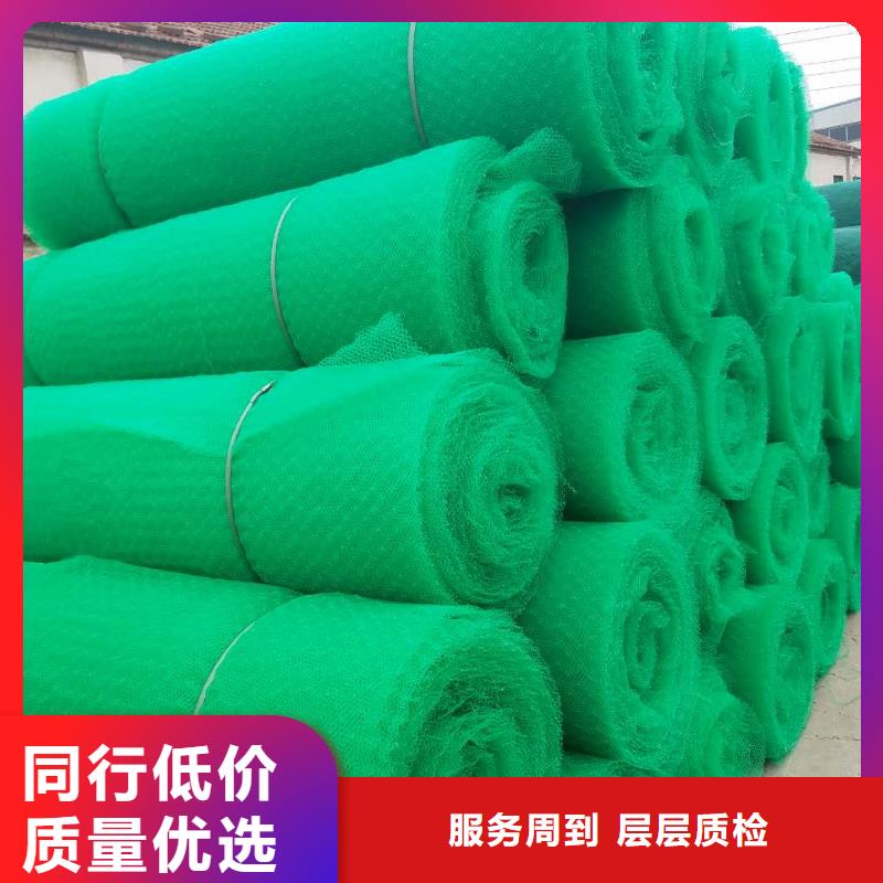 三维植被网_短丝土工布诚信商家