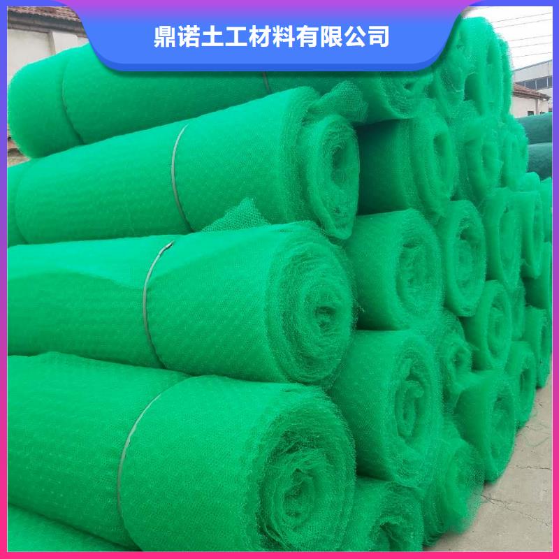 三维植被网土工席垫从厂家买售后有保障
