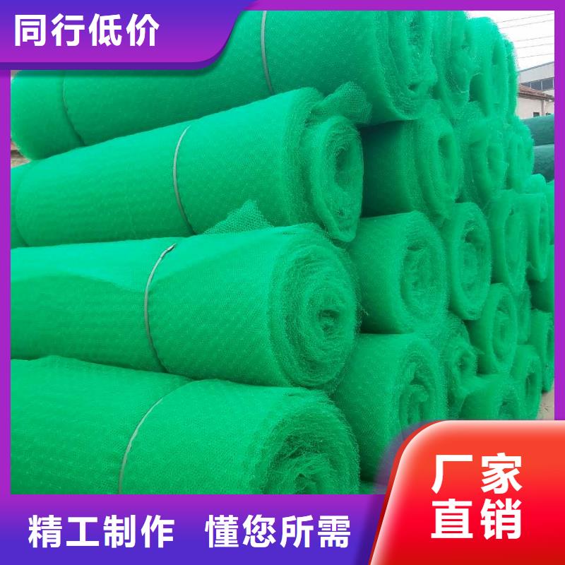 三维植被网三维土工网垫专业按需定制