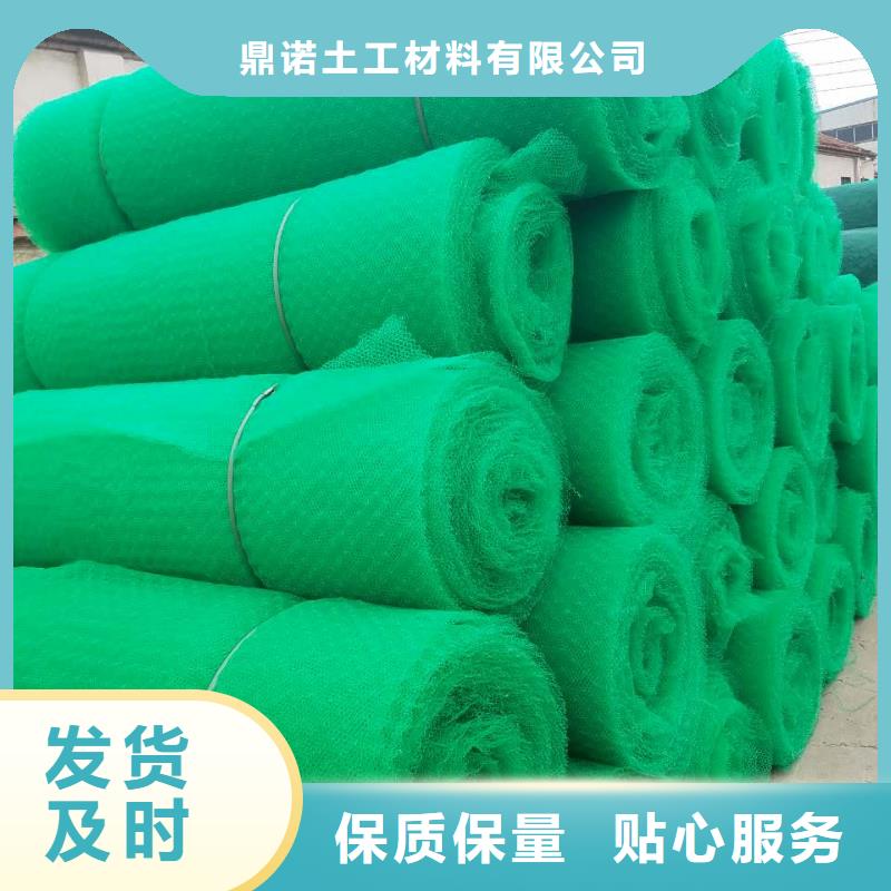 三维植被网三维土工网垫专业按需定制