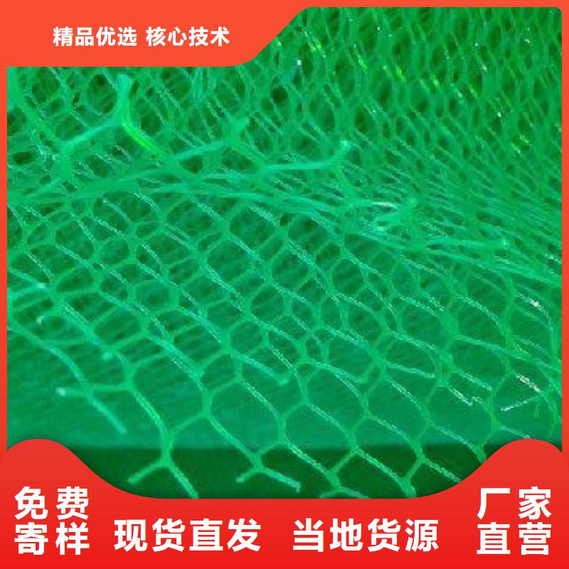 三维植被网土工格室用心做产品