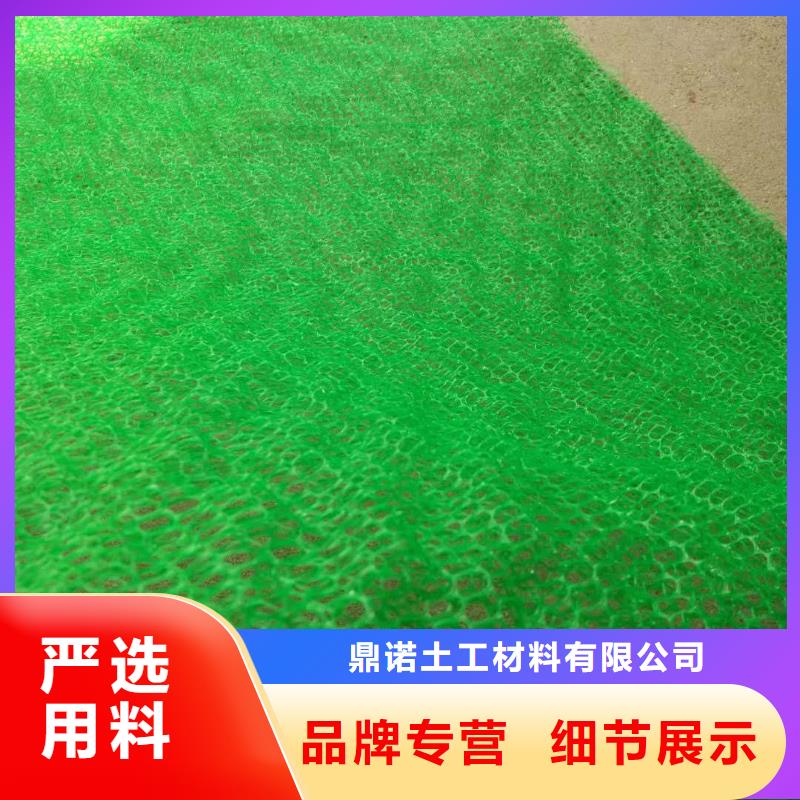 三维植被网三维土工网垫专业按需定制