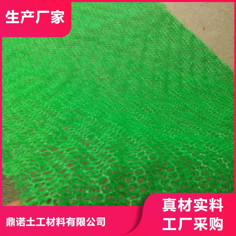 三维植被网双向塑料土工格栅追求细节品质