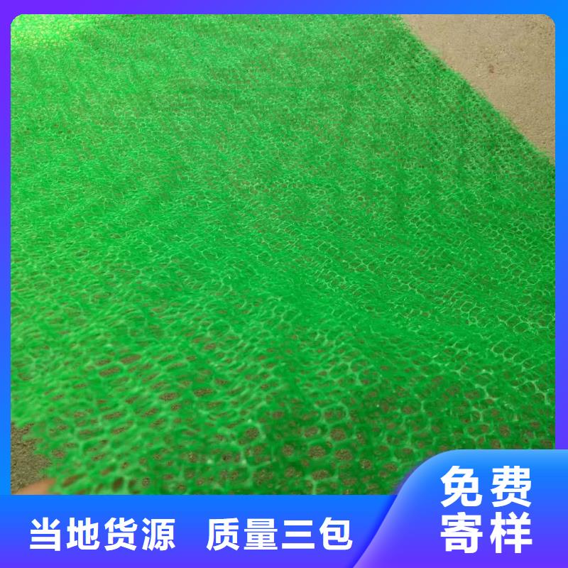 【三维植被网】钢塑土工格栅一手货源源头厂家