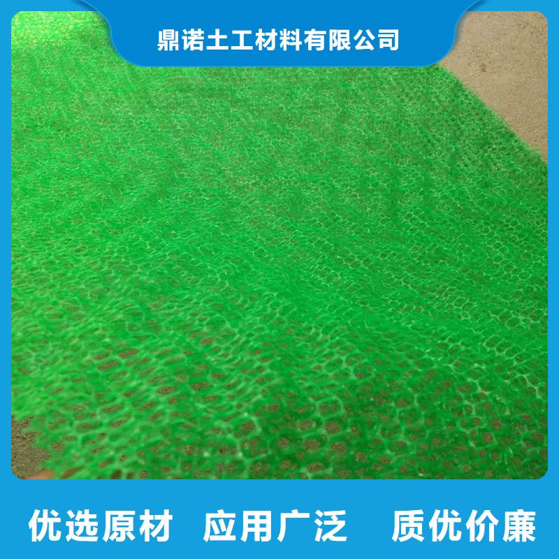 三维植被网PP焊接土工格栅现货采购
