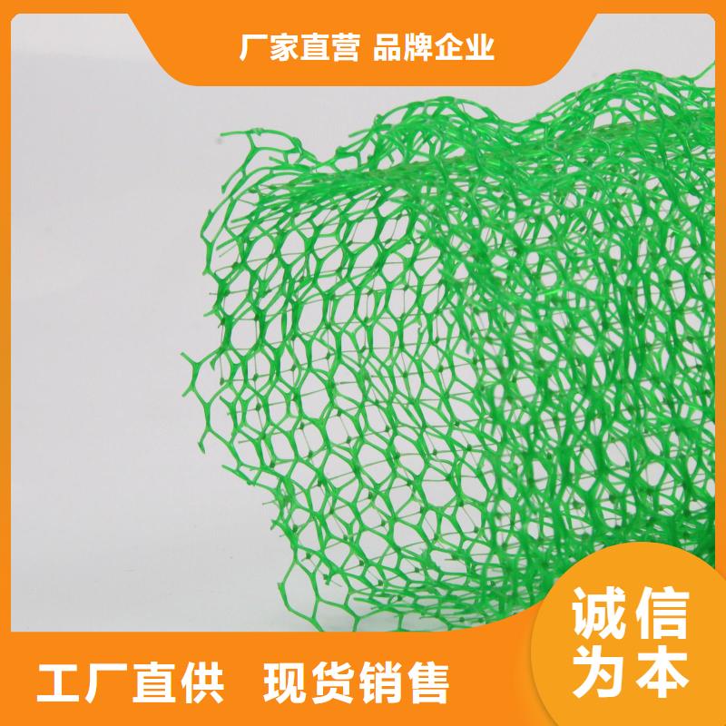 三维植被网长丝土工布性价比高