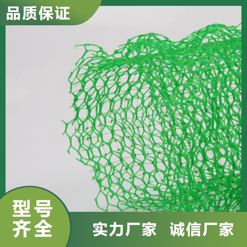 三维植被网土工格室品质优选