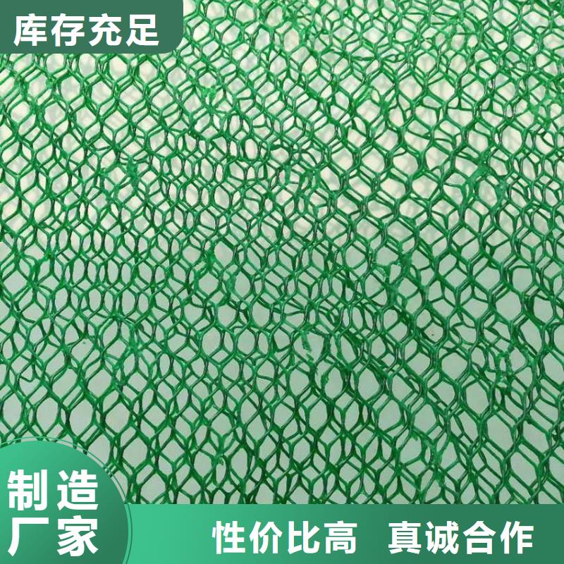 【三维植被网,双向塑料土工格栅就近发货】