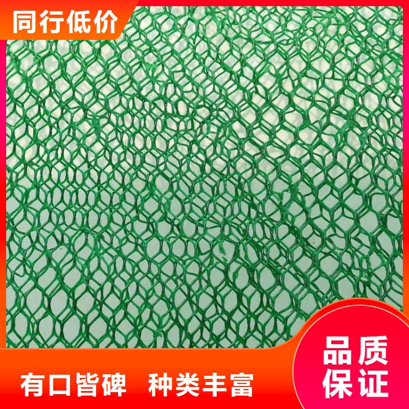 三维植被网土工格室用心做产品