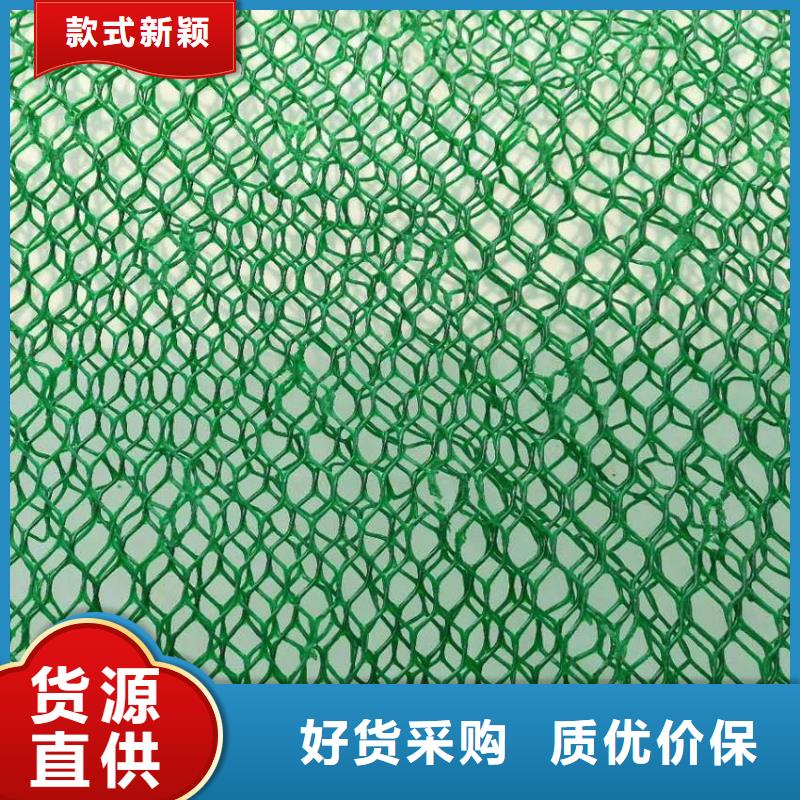 三维植被网PP焊接土工格栅现货采购