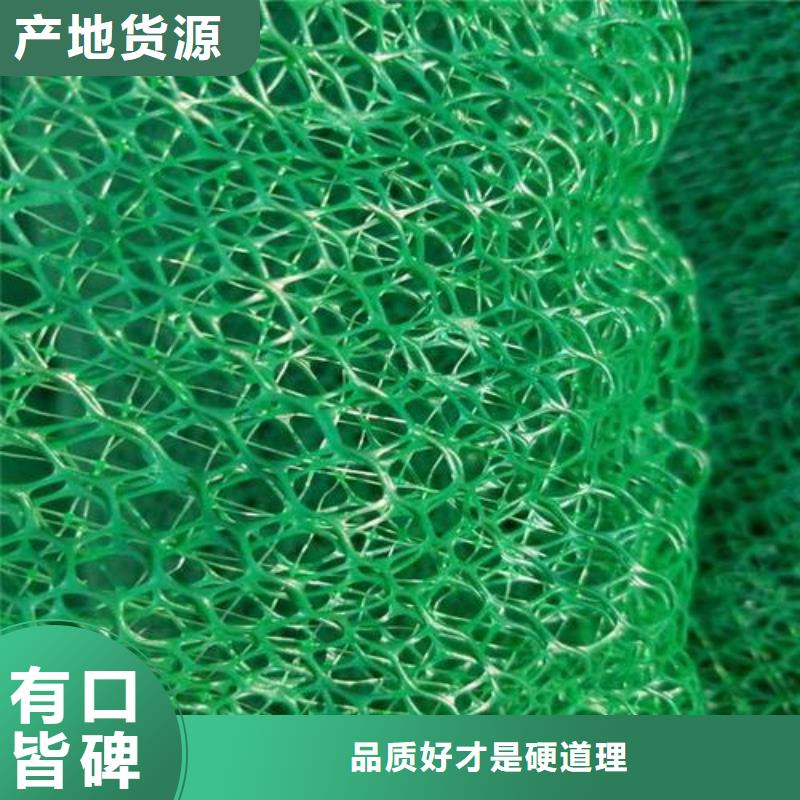 三维植被网三维土工网垫专业按需定制