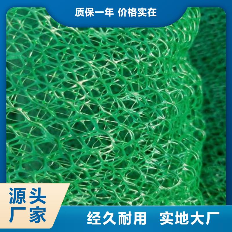 三维植被网土工席垫从厂家买售后有保障