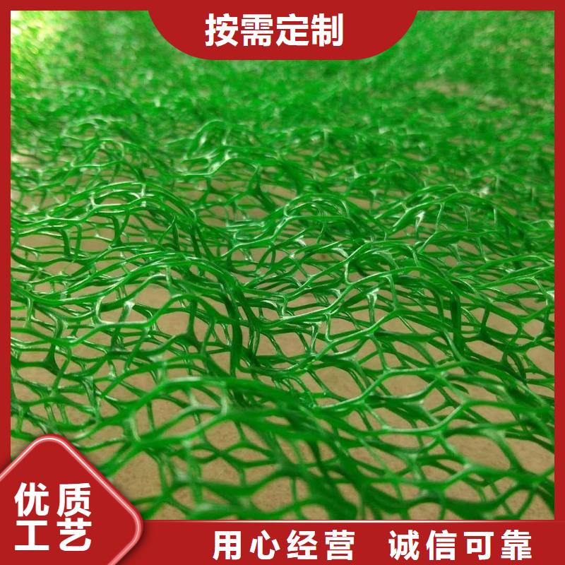 三维植被网土工格室用心做产品