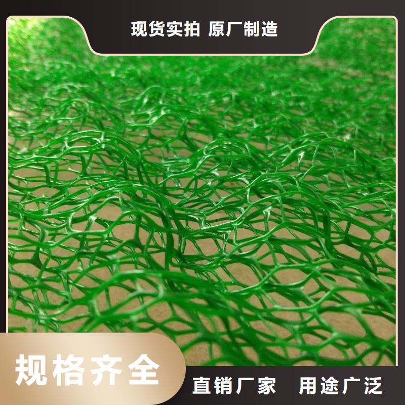 三维植被网-软式透水管售后服务完善