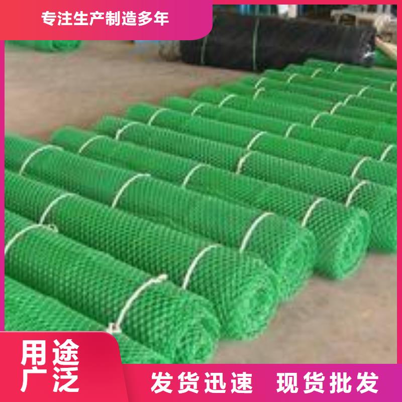 【三维植被网】钢塑土工格栅一手货源源头厂家