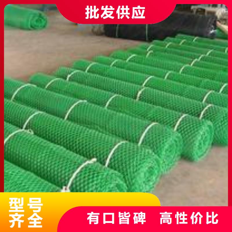 三维植被网钢塑土工格栅可定制有保障