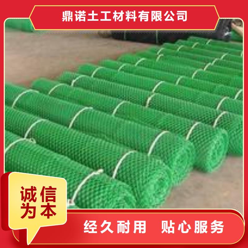 三维植被网-水土保护毯准时交付