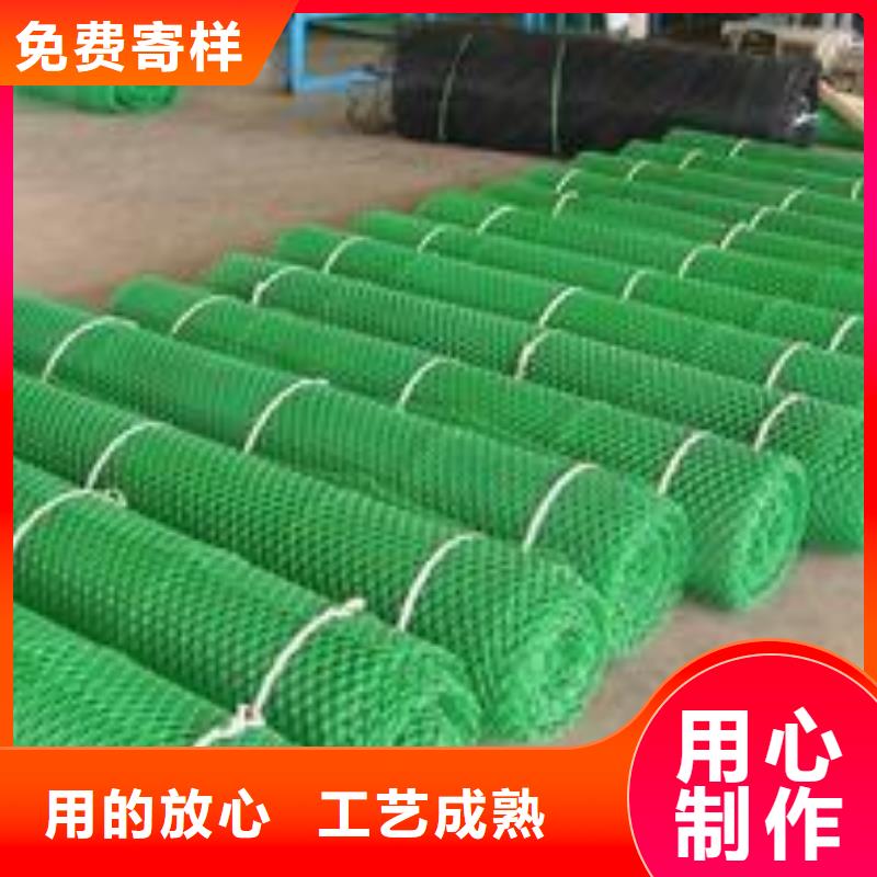 三维植被网三维土工网垫专业按需定制