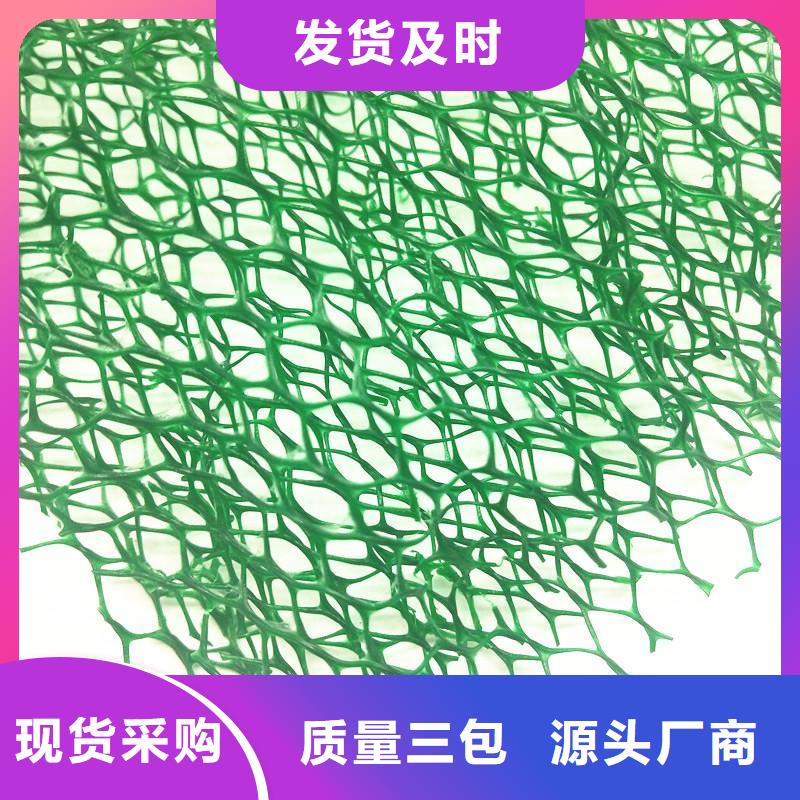 三维植被网双向塑料土工格栅现货实拍